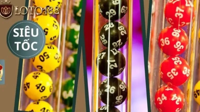 Giới thiệu tổng quan về bao lô số đề