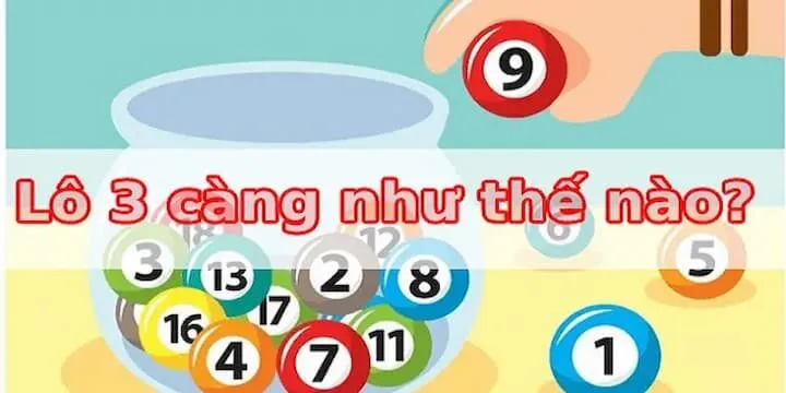 Tìm hiểu thông tin về lô 3 càng phổ biến trong lô đề
